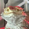 Фото профиля ひろちか