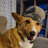 Timmy WingDing's profile picture