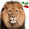 Profilbild von Shir Payam