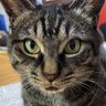 リビング profil fotoğrafı