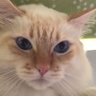 Anita♡♡'s profile picture