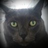 Nay๐งก's profile picture