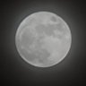 Фото профиля The Moon In The Dark