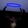 Profilbild von Moldark Gloomulch