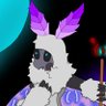 zoran's profile picture