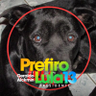 Profilbild von Tiago Abelini