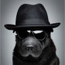 Profilbild von fun man