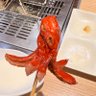 タコ星人 profil fotoğrafı