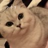 Profilbild von Li