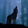 GRIMM's profile picture