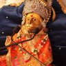 Фото профиля मनोज कुमार यादव
