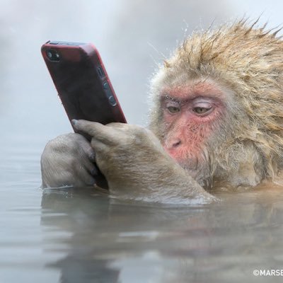 JustADude_7's profile picture