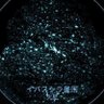 チャシス・オレンジ's profile picture