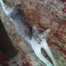 kero_gasus profil fotoğrafı