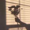 Фото профиля wna_