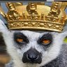 StevenerCz profil fotoğrafı