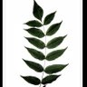 Фото профиля habulaaa