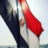 Profilbild von Ahmed Elymaney🇪🇬