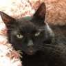Jenny Sampson's profile picture