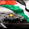 Profilbild von حساب جديد Tarek Zahreddin
