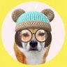 Profilbild von きっこーまん