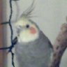 Profilbild von Madelyn JG