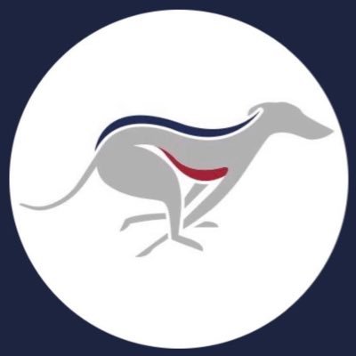 centralparkdogs's profile picture