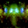 zenba's profile picture