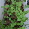 Фото профиля biología 74