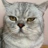 Фото профиля FatCat320