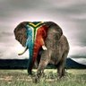 Ramontsho's profile picture