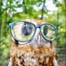 Adorkabilities's profile picture