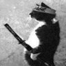 Abe profil fotoğrafı