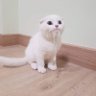 ปลายทาง 🙂's profile picture