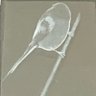 Profilbild von お抹茶丸