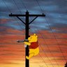 PoohThePoleDancer's profile picture