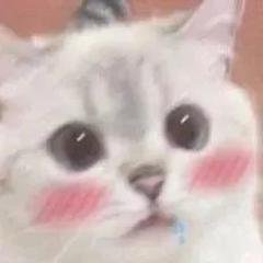 YUE_guyuehu's profile picture