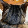 時事_kuronos profil fotoğrafı