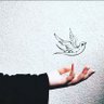Ali Altaee's profile picture