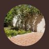 أم عبدالله's profile picture