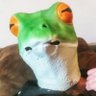 Pepehu Kekbar 🐸 的头像