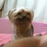 a charm 的头像