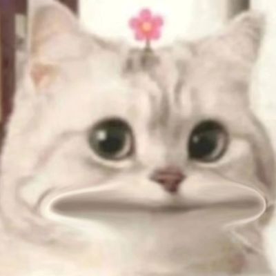 Leeerer6666's profile picture