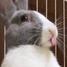 モーリー's profile picture
