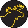 The Bull Moose Project's profile picture