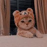 𝒫 𝓁 𝓊 𝓋 𝒾 𝑜 profil fotoğrafı