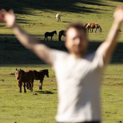 A_Zedig_Diboine's profile picture