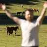 AlexandreDiboine profil fotoğrafı