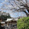 約田 長月 profil fotoğrafı