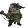 Raivis Purins's profile picture